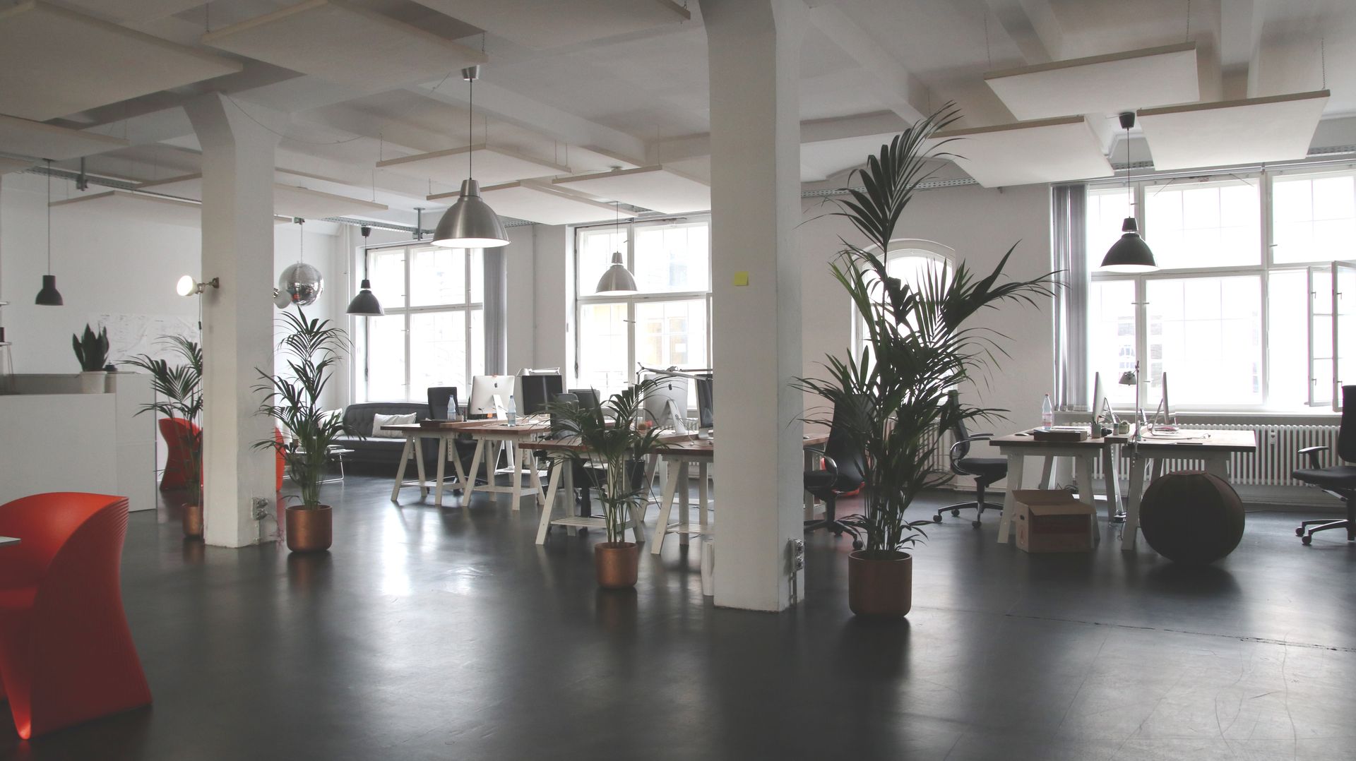 Indoor workspace with green plants creating a calm and productive coworking atmosphere.